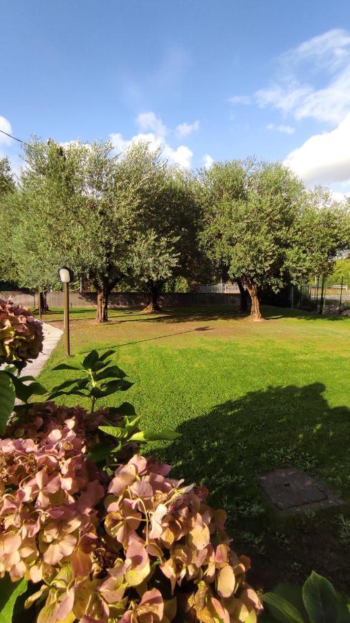 Gli Ulivi Rooms Лукка Екстер'єр фото